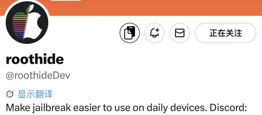 图片[19]-iOS 越狱工具⑵ RootHide隐根越狱，屏蔽检测无敌 ，爱了 ！-蛙趣网