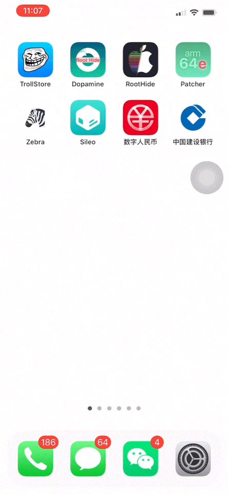 图片[16]-iOS 越狱工具⑵ RootHide隐根越狱，屏蔽检测无敌 ，爱了 ！-蛙趣网