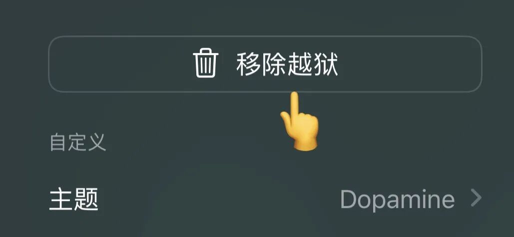 图片[17]-iOS 越狱工具⑵ RootHide隐根越狱，屏蔽检测无敌 ，爱了 ！-蛙趣网